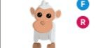 Gambar Product Albino Monkey FR