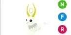 Goldhorn NFR