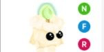 Gambar Product Cuddly Candle NFR
