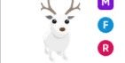 Gambar Product Arctic Reindeer MFR