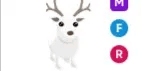 Arctic Reindeer MFR