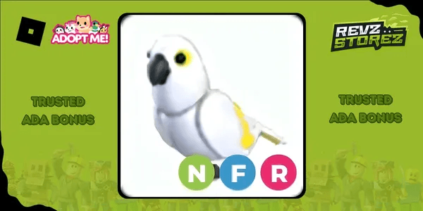 White Amazon NFR