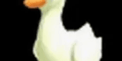 Goose