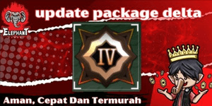 Update Package Delta