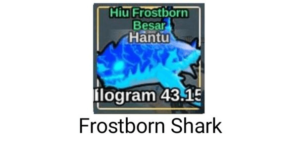 Gambar Product Ghost Big Frostborn Shark