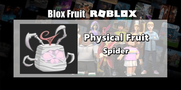 Gambar Product Spider