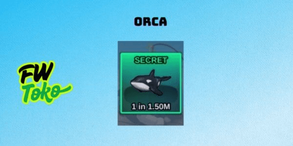 Gambar Product Orca