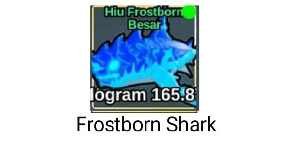 Gambar Product Big Frostborn Shark