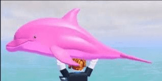 Gambar Product Pink Dolphin