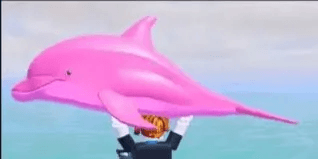 Pink Dolphin