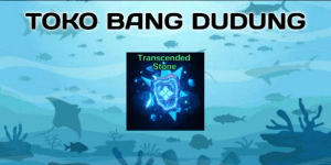 Transcended Stone