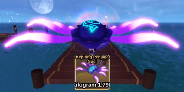 Gambar Product Sacred Guardian Squid