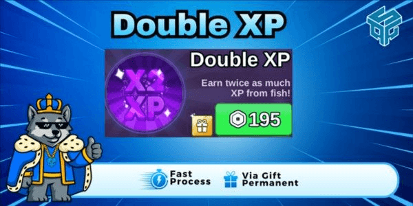 Gambar Product Double XP