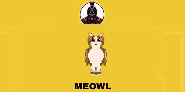 Gambar Product Meowl