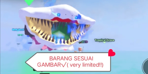 Festive Elshark Gran Maja