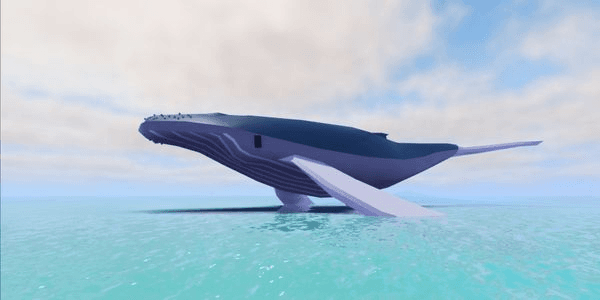Gambar Product Great Whale