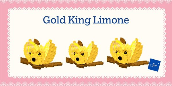 Gambar Product Gold King Limone