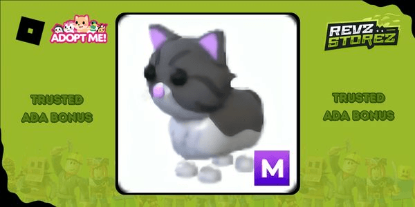 Gambar Product Persian Cat