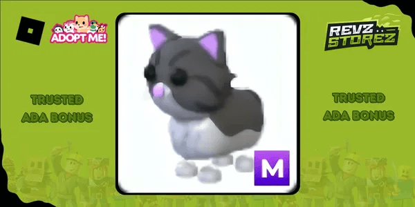 Persian Cat