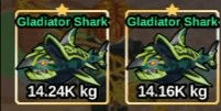 Gladiator Shark