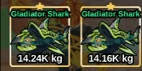Gladiator Shark