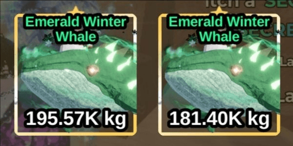Gambar Product Emerald Winter Whale
