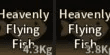 Heavenly Flying Fish