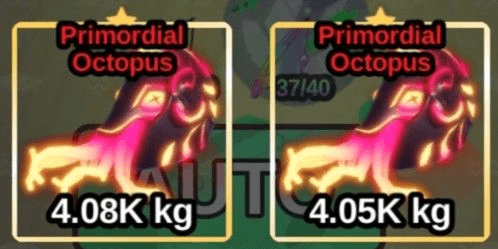 Gambar Product Primordial Octopus