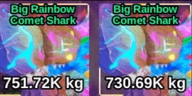 Gambar Product Big Rainbow Comet Shark