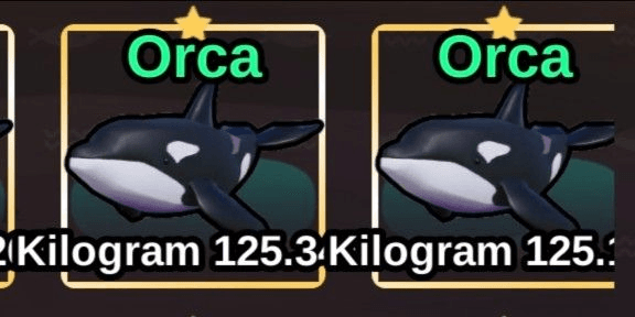 Gambar Product Orca