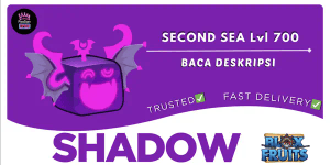 Shadow