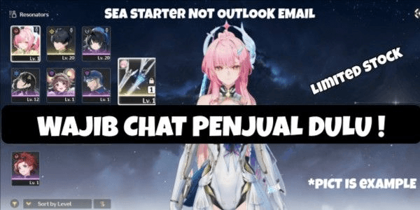 Gambar Product [SEA] Starter Aemeath + Signature - Fast Delivery !BACADESK