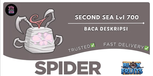 Spider