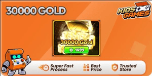 30,000 Gold