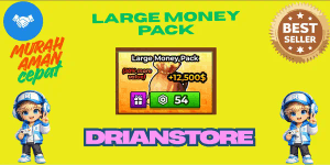 Large Money Pack