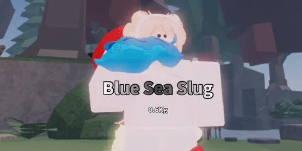 Blue Sea Slug