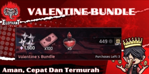 Valentine's Bundle