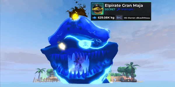 Midnight Big Elshark Gran Maja