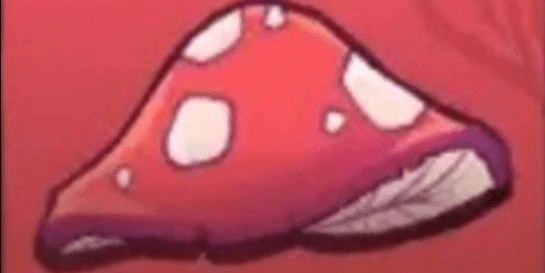 Gambar Product 500000 Shroom