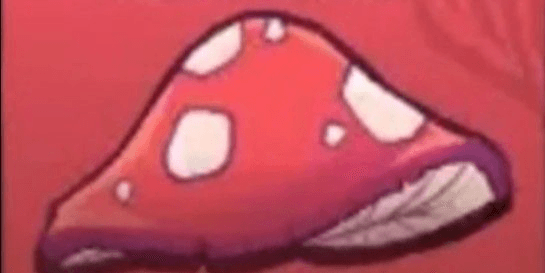 Gambar Product 1000 Shroom