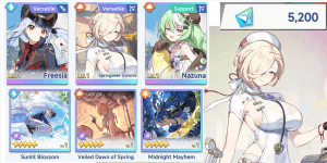 Global | Lv40+ | Premium SSR Limited + Signature Disc + Diamonds (Same as Screenshot) Instant Delivery 100% READY