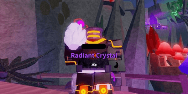 Gambar Product Radiant Crystal