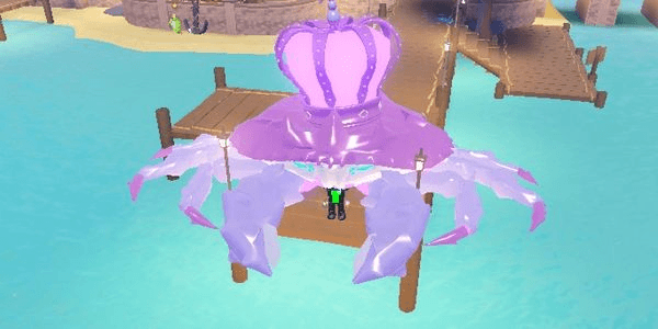 Gambar Product Fairy Dust King Crab