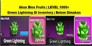 Account Blox Fruits | Green Lightning Fruits nell'inventario | Skin limitata | Descrizione dettagliata
