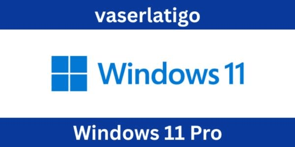 Gambar Product Windows 11 Professional