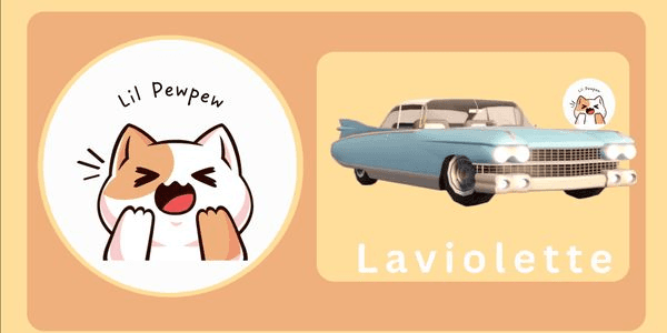 Gambar Product Laviolette