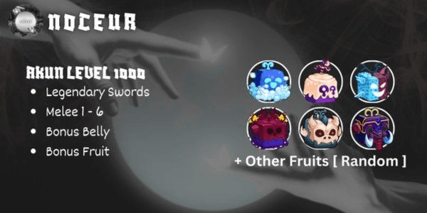 Gambar Product Akun Blox Fruit Level 1000