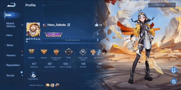 Gambar Product AKUN HOK RANK TINGGI & SKIN SULTAN