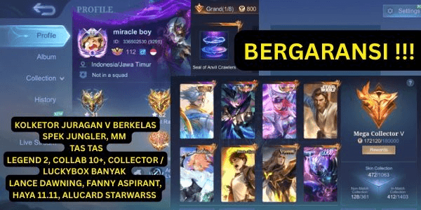 Gambar Product AKUN  KOLEKTOR JURAGAN V SPEK JUNGLER DEWA #37