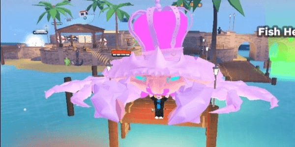 Gambar Product Fairy Dust King Crab